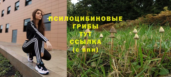 дживик Киреевск