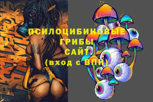 стафф Кинешма