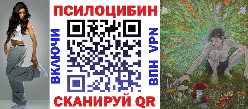 Псилоцибиновые грибы Psilocybe  Купить  Одинцово 